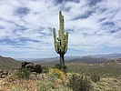 photo thumbnail #4