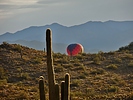 photo thumbnail #1