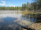 photo thumbnail #4