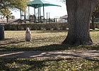 photo thumbnail #10
