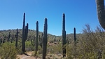 photo thumbnail #1