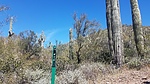 photo thumbnail #6