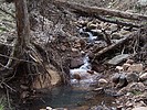 photo thumbnail #14