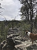 photo thumbnail #7