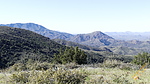 2019-04-11 :1: Forest Road 3686 Loop :: CannondaleKid