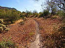 photo thumbnail #5