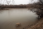 photo thumbnail #9