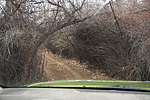 photo thumbnail #11