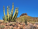 photo thumbnail #6
