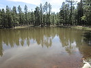 photo thumbnail #7