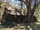 photo thumbnail #9