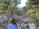 photo thumbnail #13