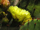 photo thumbnail #12