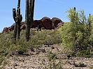 photo thumbnail #3