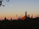 photo thumbnail #2