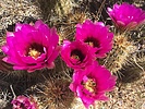 photo thumbnail #1