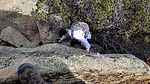 photo thumbnail #5