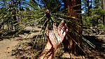 photo thumbnail #5
