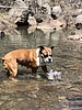 photo thumbnail #6