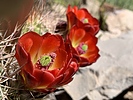 photo thumbnail #12