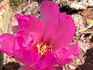 photo thumbnail #13