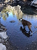 photo thumbnail #10