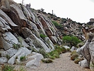 photo thumbnail #5