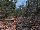 photo thumbnail #8