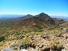 photo thumbnail #1