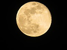 photo thumbnail #10