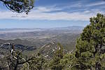 photo thumbnail #10