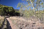 photo thumbnail #3