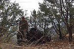 photo thumbnail #7