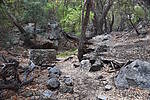 photo thumbnail #14