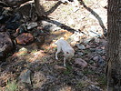 photo thumbnail #3