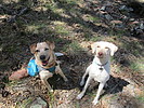 photo thumbnail #4