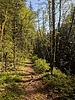 photo thumbnail #9