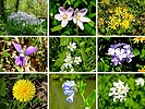 photo thumbnail #15