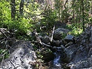 photo thumbnail #6