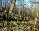 photo thumbnail #7