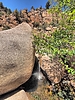 photo thumbnail #10