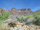photo thumbnail #5