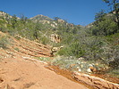photo thumbnail #15