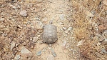 photo thumbnail #1