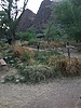 photo thumbnail #9