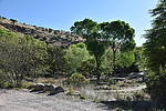 photo thumbnail #1