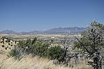 photo thumbnail #8