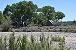 photo thumbnail #11