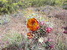 photo thumbnail #6