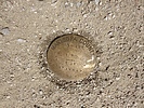 photo thumbnail #11